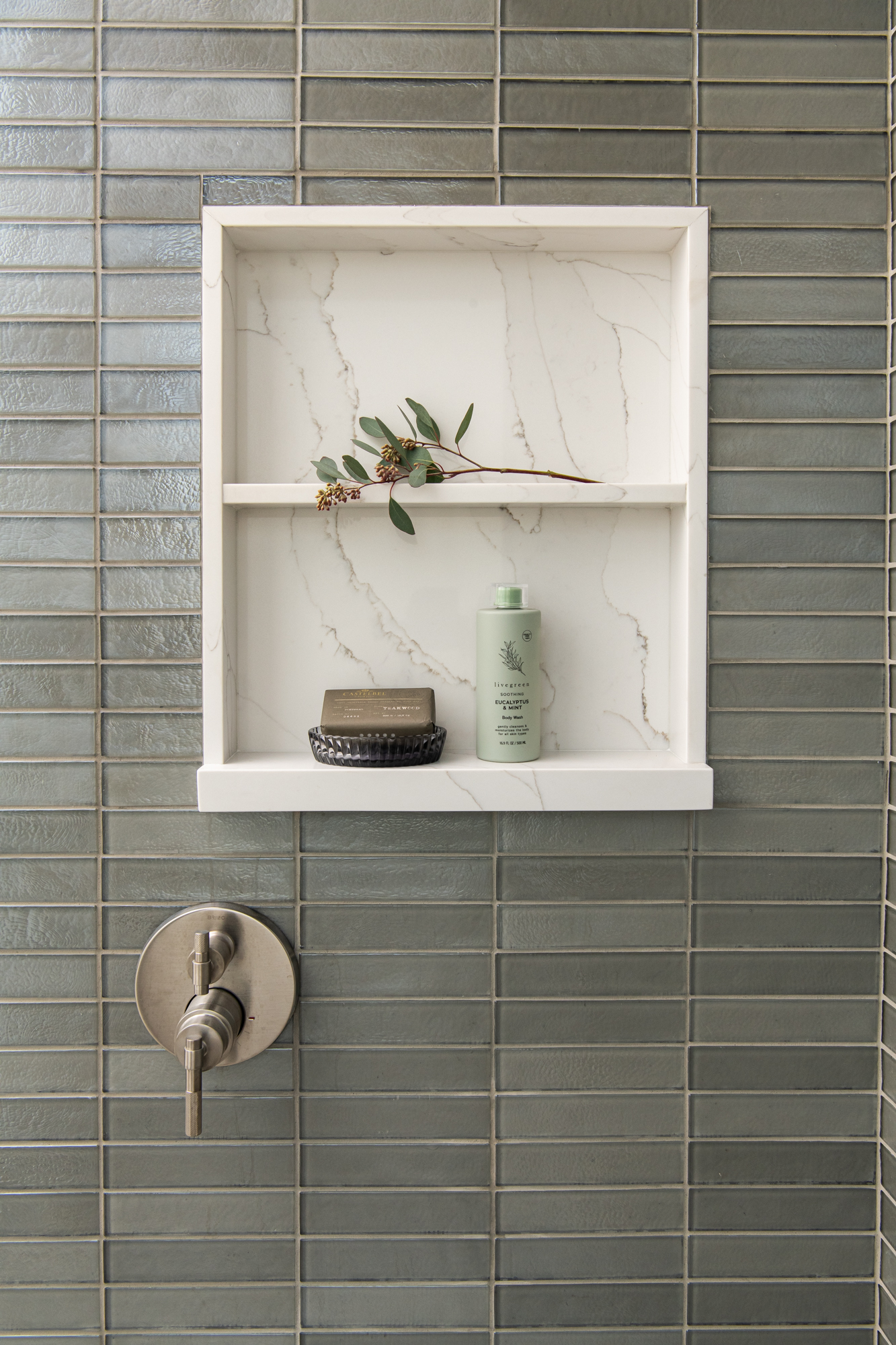 Shower niche with eucalyptus and livegreen body wash