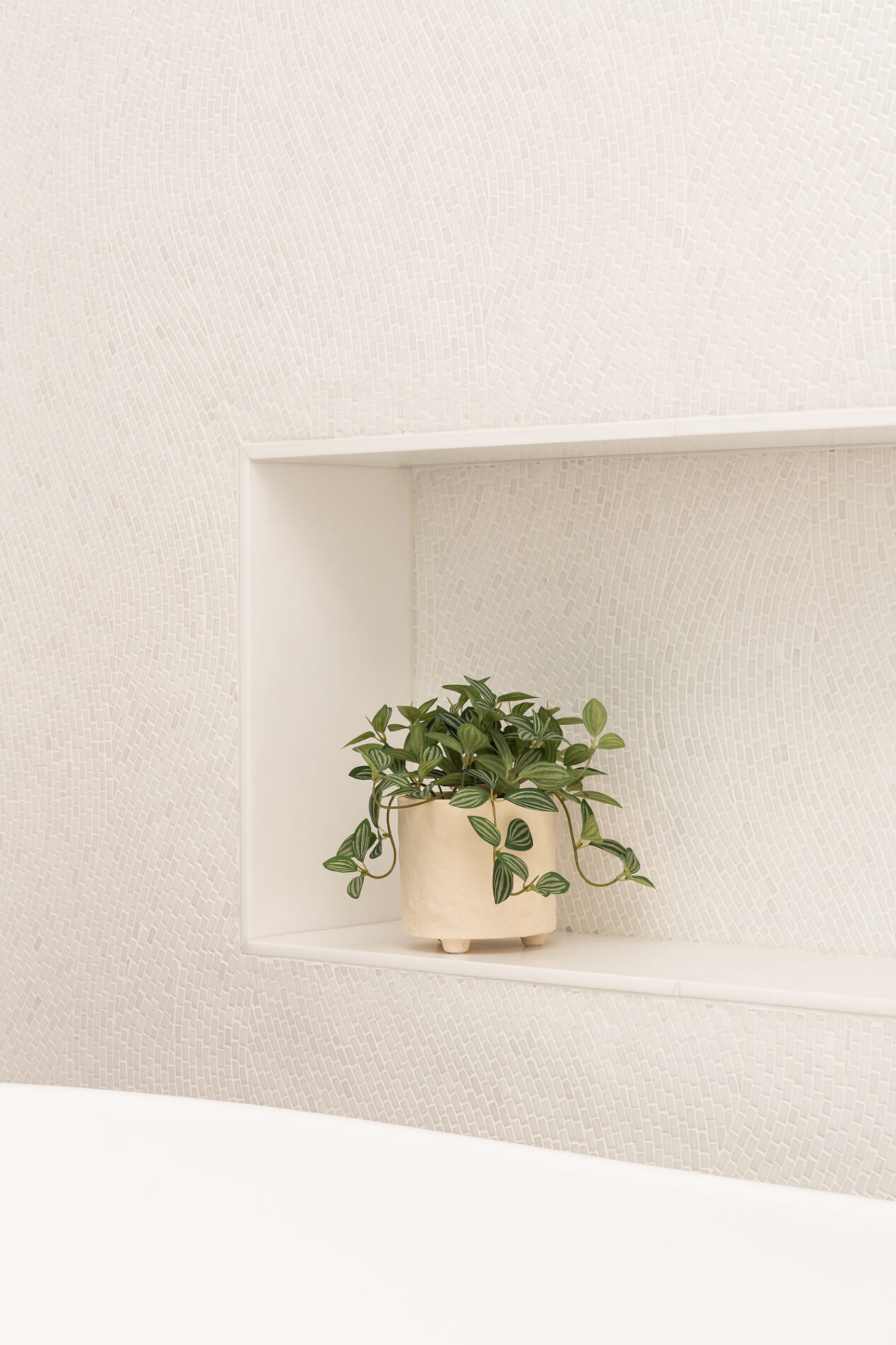 Fan-mosaic wall close with plant in cream pot in niche